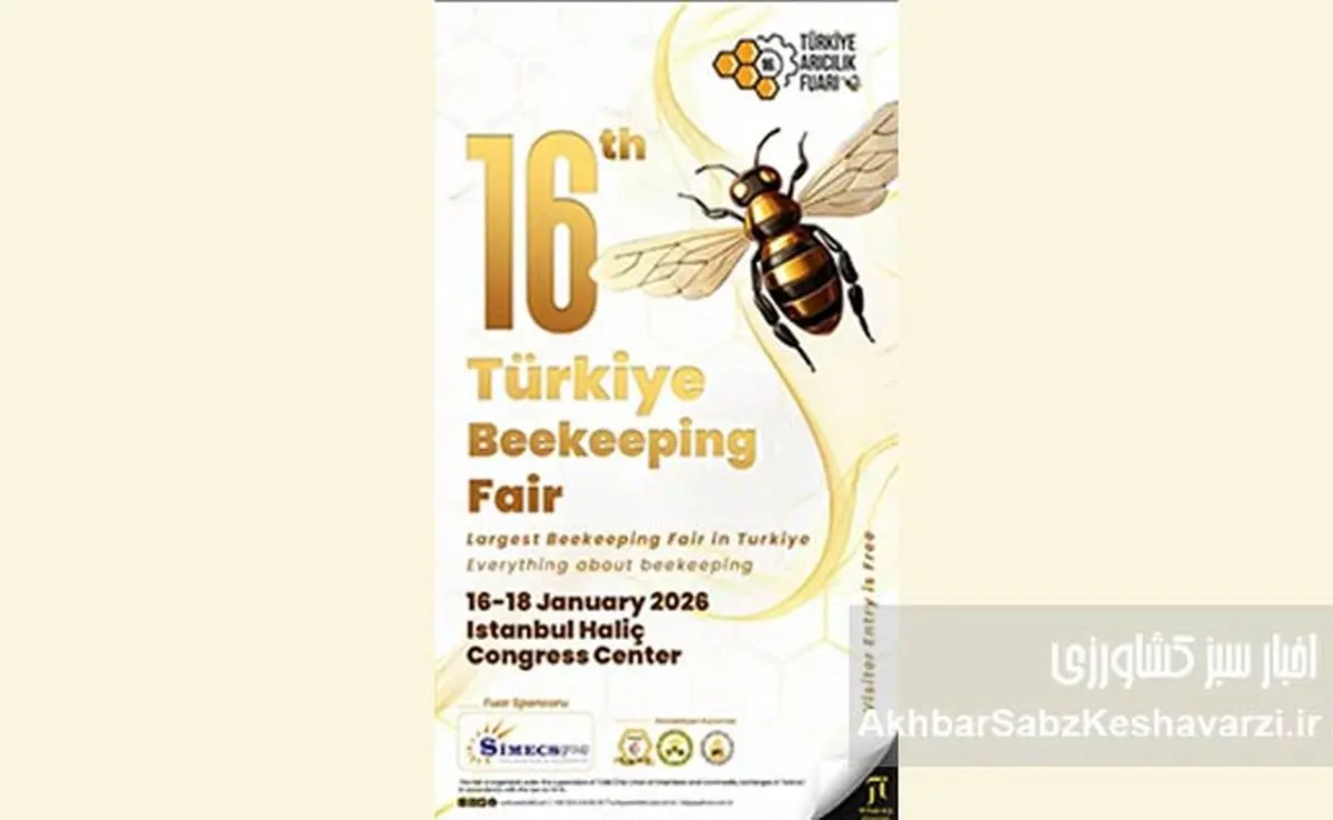 نمایشگاه زنبورداری ترکیه؛ الگویی موفق برای نجات و جهش زنبورداری ایران
