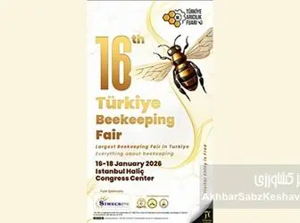 نمایشگاه زنبورداری ترکیه؛ الگویی موفق برای نجات و جهش زنبورداری ایران
