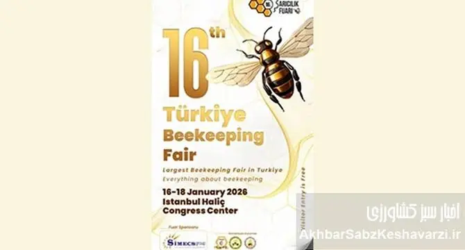 نمایشگاه زنبورداری ترکیه؛ الگویی موفق برای نجات و جهش زنبورداری ایران