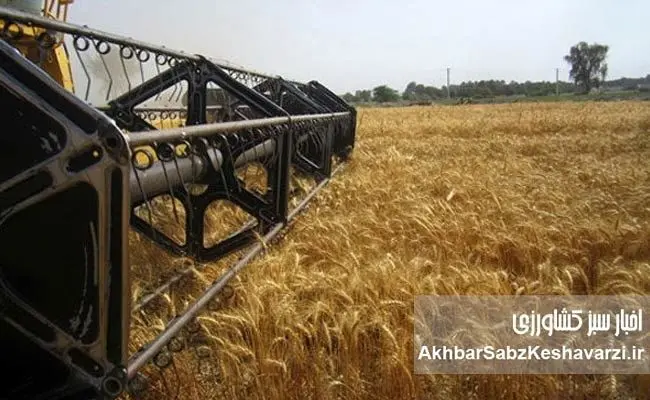 ذخایر استراتژیک گندم، آرد و روغن در روزهای بحران؛ گزارش تحلیلی از وضعیت تأمین و پایداری بازار