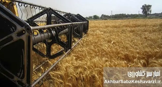 نقشه جدید غلات جهان؛ ایران و روسیه در آستانه شاهراه گندم