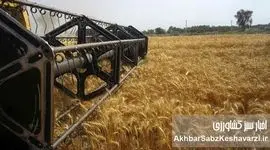 نقشه جدید غلات جهان؛ ایران و روسیه در آستانه شاهراه گندم