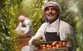 رکورد صادرات غیر نفتی عربستان در سال ۲۰۲۴ ثبت شد؛ گامی بلند در مسیر خداحافظی با اقتصاد تک محصولی!