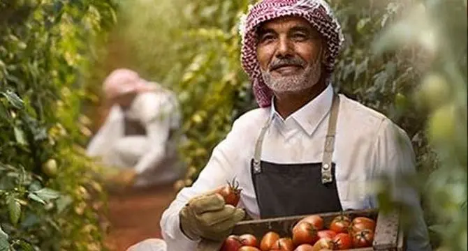 رکورد صادرات غیر نفتی عربستان در سال ۲۰۲۴ ثبت شد؛ گامی بلند در مسیر خداحافظی با اقتصاد تک محصولی!