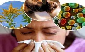 هشدار به افراد مبتلا به آلرژی: از مصرف این مواد غذایی خودداری کنید!