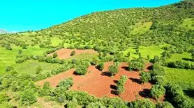 اختصاص ۱۰ هزار هکتار اراضی ملی برای احداث نیروگاه خورشیدی