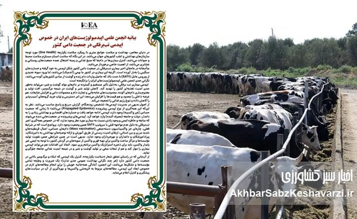 هشدار انجمن اپیدمیولوژیست‌های ایران درباره فاجعه تب برفکی