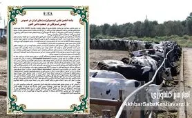 هشدار انجمن اپیدمیولوژیست‌های ایران درباره فاجعه تب برفکی