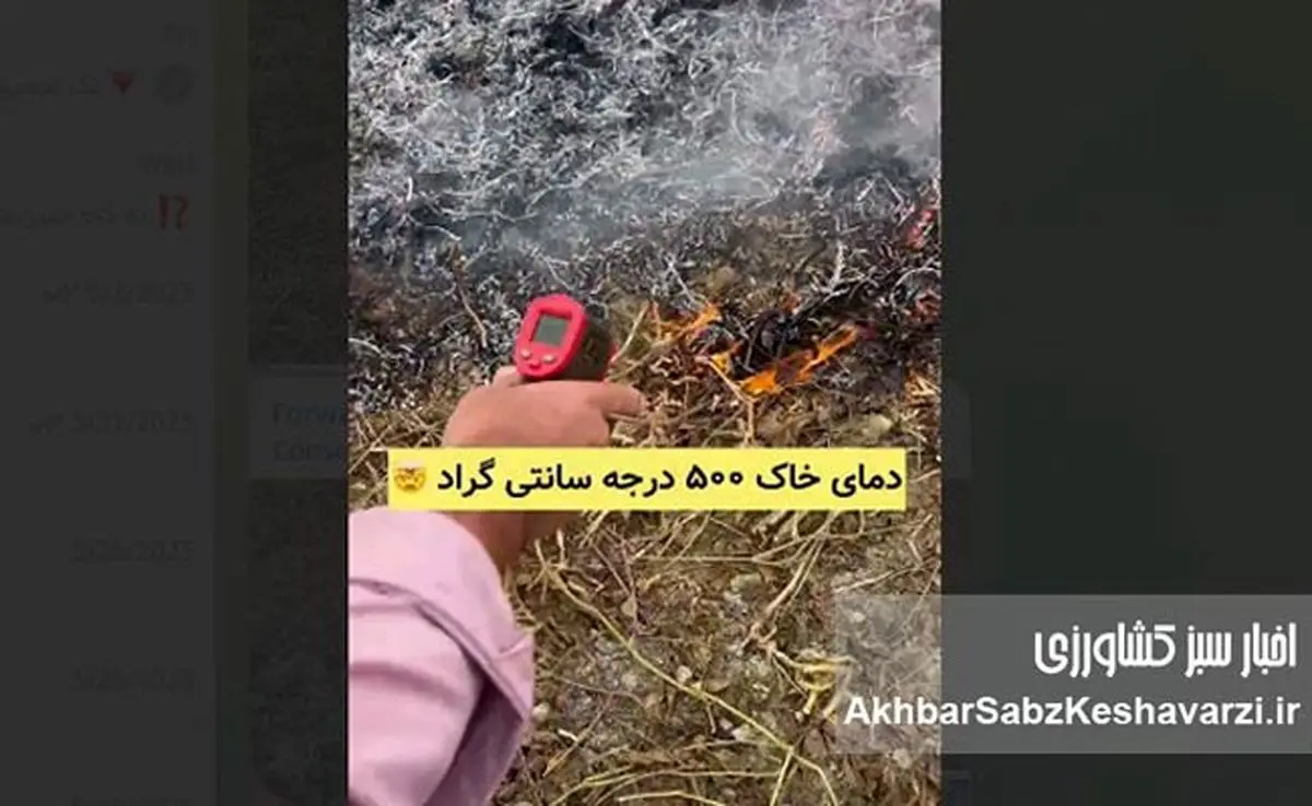سوزاندن بقایای کشاورزی؛ فاجعهای خاموش برای سلامت و حاصلخیزی خاک+ ویدئو