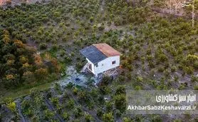 تغییر کاربری اراضی کشاورزی: ماده ۱۰۰ قانون شهرداری، تسهیل‌گر یا مانعی بر سر راه توسعه پایدار؟