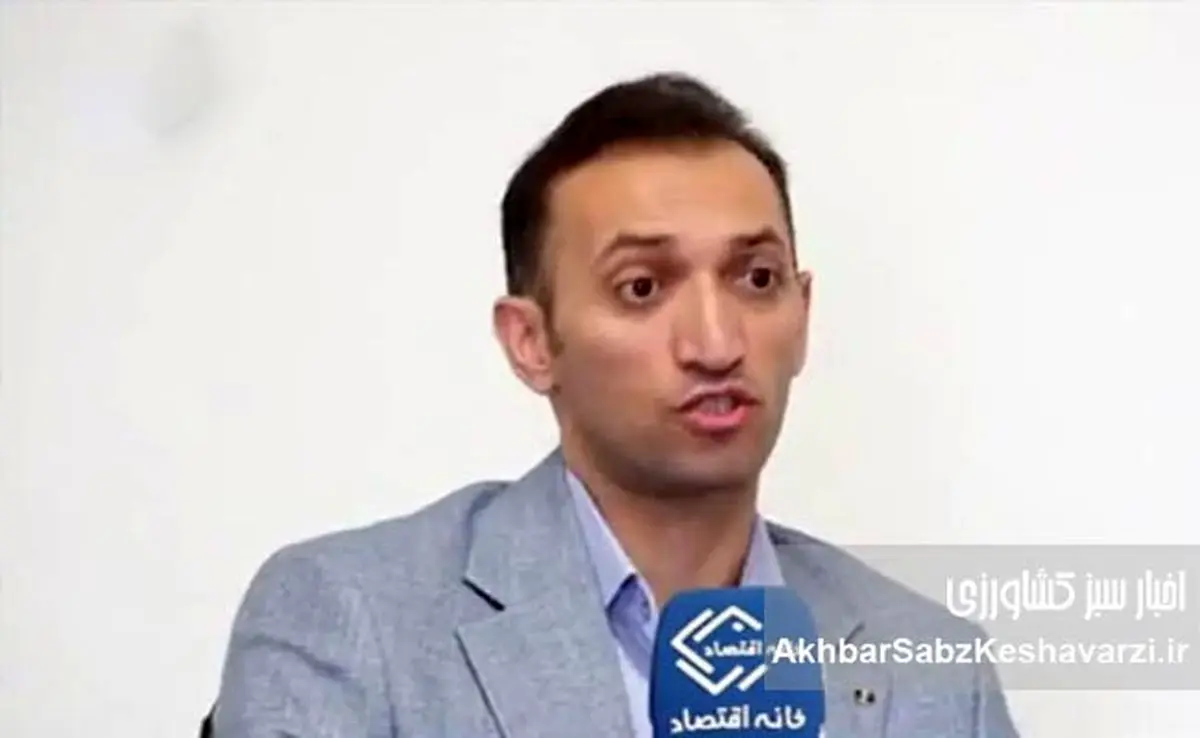 دکتر حامد نجفی: چرا برنج ۳۸۰ هزار، لوبیا چیتی ۳۰۰ درصد گران شد+ویدئو