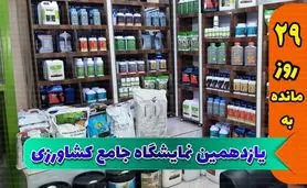 رویارویی و تعامل شرکت‌های تولیدکننده در نمایشگاه یازدهم

