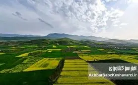 ابهام در آمار سنددار شدن اراضی کشاورزی؛ بخش بزرگی از اسناد نیاز به بازنگری دارد