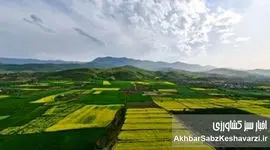 ابهام در آمار سنددار شدن اراضی کشاورزی؛ بخش بزرگی از اسناد نیاز به بازنگری دارد