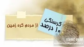 گرسنگی و ناامنی غذایی در جهان: ۱۰ درصد جمعیت در صف بقا!