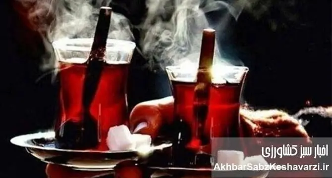 چای و قند؛ آخرین پناه خانوار ایرانی در عصر گرانی