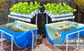 کشت آکواپونیک؛ وقتی ماهی‌ها و گیاهان هوشمندانه با هم کار می‌کنند