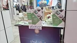 درخشش کویر در هفتمین دوره نمایشگاه ایران اکسپو؛ هلدینگ کیمیای سبز رفسنجان با دستاوردهای نوین