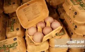 معمای «دو سر سوخت» در بازار قیمت تخم مرغ؛ چرا هم تولیدکننده می‌سوزد، هم مصرف‌کننده؟