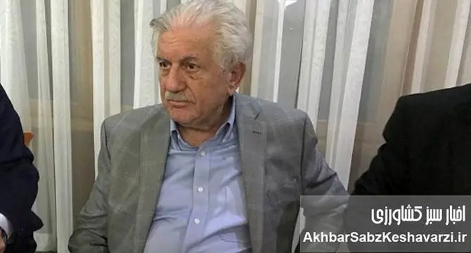 صنعت چوب ایران؛ ظرفیتی که با سرمایه‌گذاران بومی جان می‌گیرد