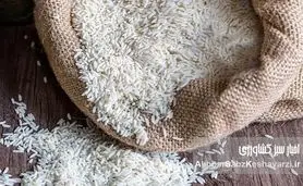 خبر فوری: واردات برنج ۱۱۲۱ هندی دوباره آزاد شد!