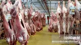 گرانی قیمت گوشت در بازار؛ فاصله‌ای نگران‌کننده تا سفره مردم