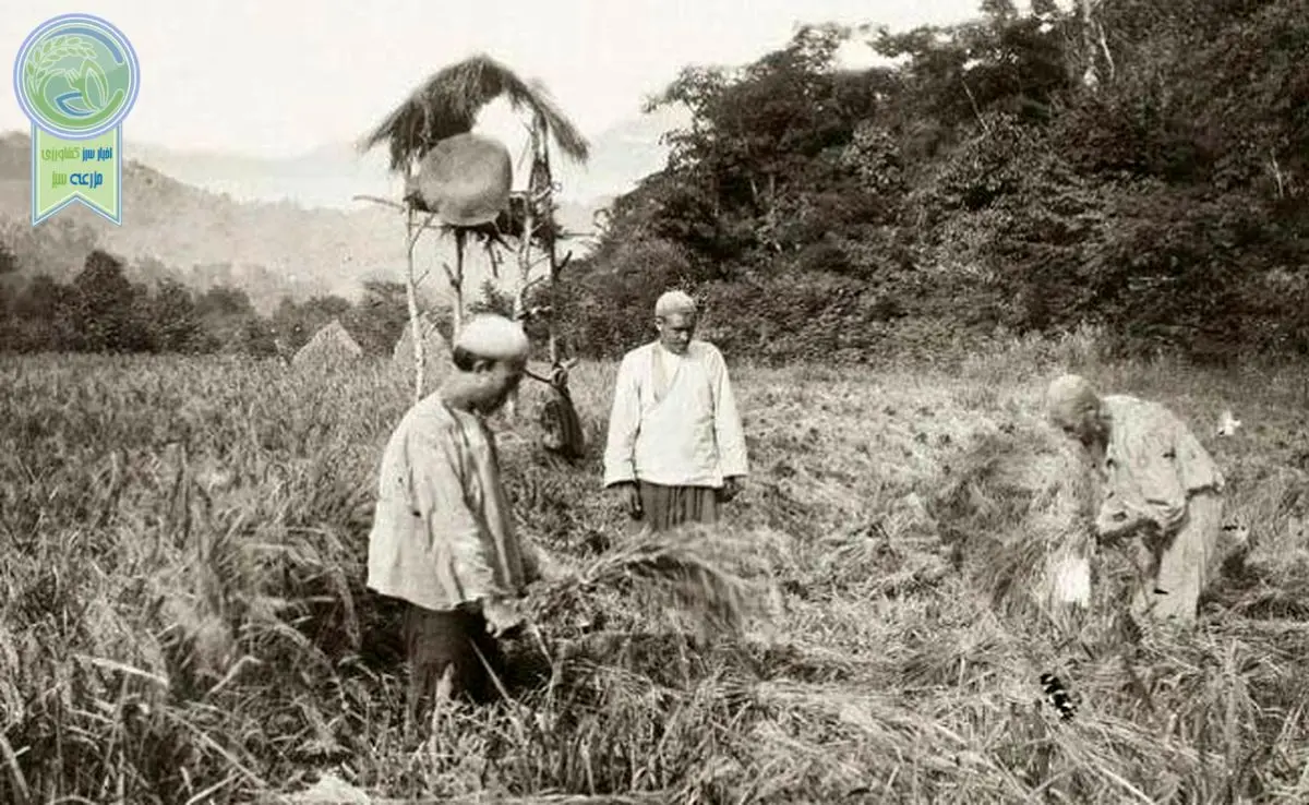 بخش‌ دوازدهم:‌ بحران جهانی 1929 و مناسبات، نهادها و شرکای تجاری ایران

