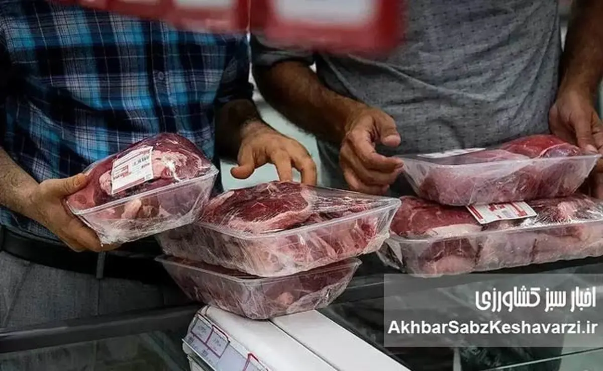 قیمت واقعی گوشت قرمز اعلام شد: فراوانی در بازار، فاجعه در سبد مصرف!