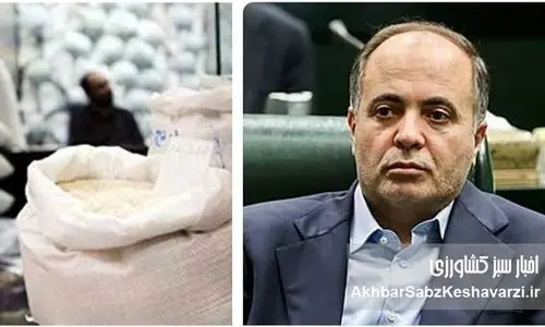 مدیریت پت و متی در وزارت کشاورزی: از قیمت‌گذاری برنج تا ممنوعیت‌های متناقض!