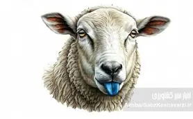 شیوع بیماری زبان آبی در دام‌ها