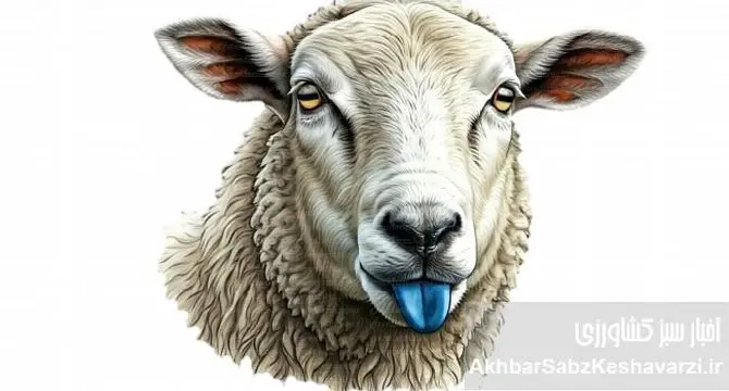 شیوع بیماری زبان آبی در دام‌ها