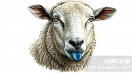 شیوع بیماری زبان آبی در دام‌ها