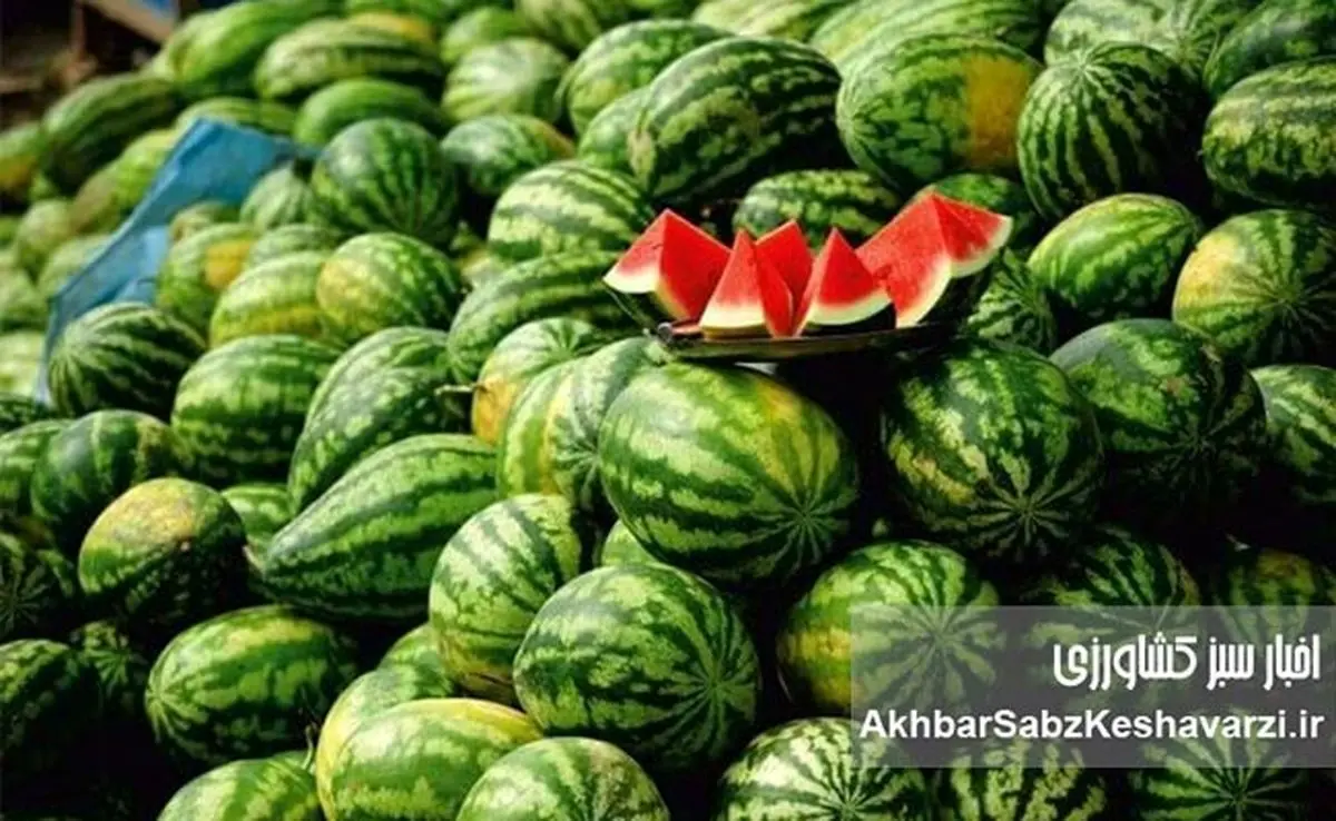 جهش دو رقمی قیمت میوه‌های پرمصرف؛ هندوانه رکورددار گرانی هفته