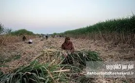 جان‌باختن در گرمای خوزستان؛ وقتی سود کارفرما بر جان کارگران ارجحیت دارد!