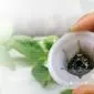 کنترل جلبک در هیدروپونیک: راهنمای جامع مقابله با دشمن پنهان ریشه گیاهان+ ایفوگرافی 