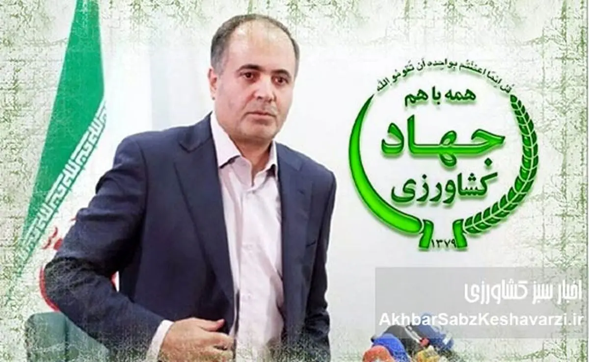 تکذیب هر گونه پاداش جنگ ۱۲ روزه به وزیر، معاونین و مدیران کل وزارتخانه