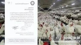 اتحادیه سراسری مرغداران گوشتی: بازارگاه قفل شده، تولید مرغ در آستانه سقوط+نامه