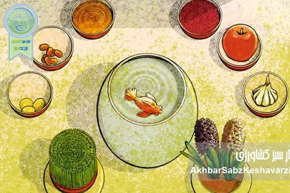 فقط یک روز تا نوروز ۱۴۰۵؛ وقتی امید از دل ویرانی برمی‌خیزد