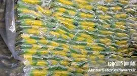 کشف انبار اختفای برنج وارداتی توسط پلیس امنیت اقتصادی فراجا