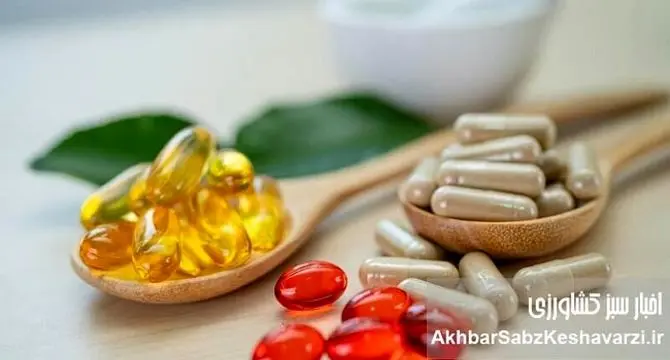 هشدار درباره کمبود ویتامین بدن در روزهای بحران؛ چه کسانی باید مکمل مصرف کنند؟