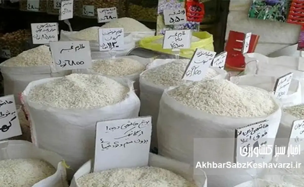 تناقض قیمت برنج: واقعیت بازار در برابر ادعاهای مسئولان