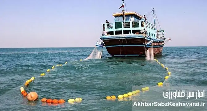 طرح دریابست قشم آغاز شد؛ ۹ روز ممنوعیت صید برای نجات آبزیان خلیج فارس