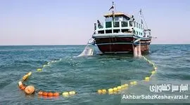 طرح دریابست قشم آغاز شد؛ ۹ روز ممنوعیت صید برای نجات آبزیان خلیج فارس