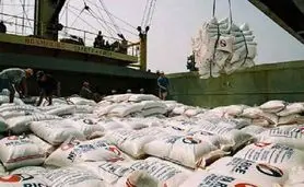 اعتراض گسترده کشاورزان به واردات برنج

