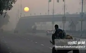 هر ۱۰ دقیقه یک مرگ؛ فاجعه خاموش آلودگی هوا در ایران