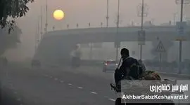 هر ۱۰ دقیقه یک مرگ؛ فاجعه خاموش آلودگی هوا در ایران