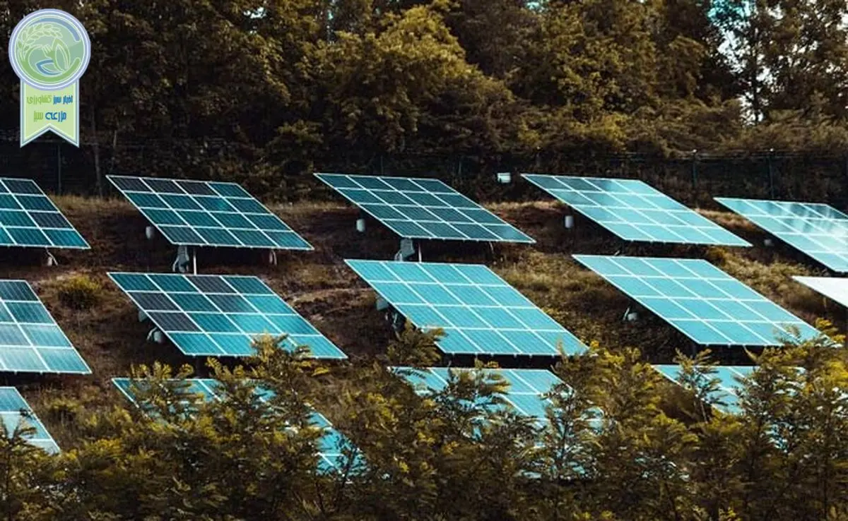 تبدیل گورستان به مزرعه خورشیدی

