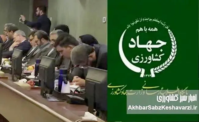 عکس برگزیده سال و تقدیر فائو از مدیر روابط‌عمومی وزارت جهاد کشاورزی