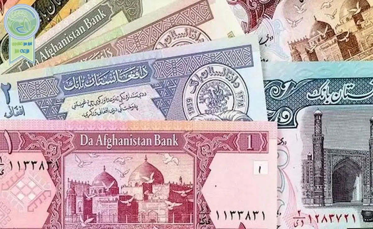 قیمت افغانی به تومان، امروز ۷ خرداد ۱۴۰۳

