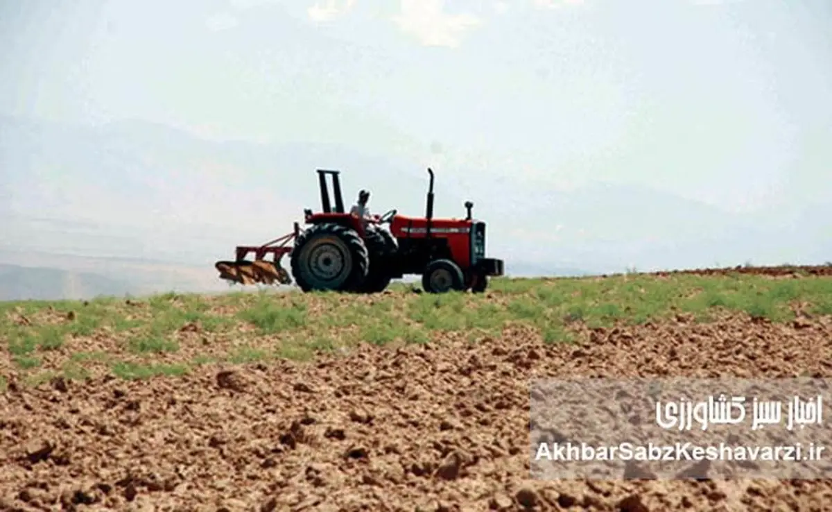قانون‌های قدیمی، آفت‌های جدید؛ حکایت کشاورزی در محاصره بوروکراسی